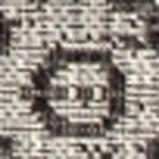 Black And Gray Medallion Indoor Outdoor Area Rug Photo 2