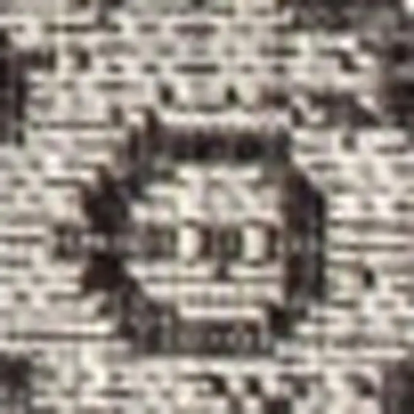 Black And Gray Medallion Indoor Outdoor Area Rug Photo 2