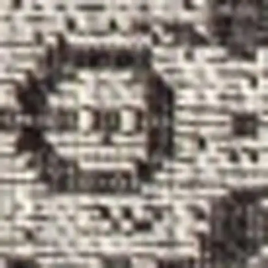 Black And Gray Medallion Indoor Outdoor Area Rug Photo 2