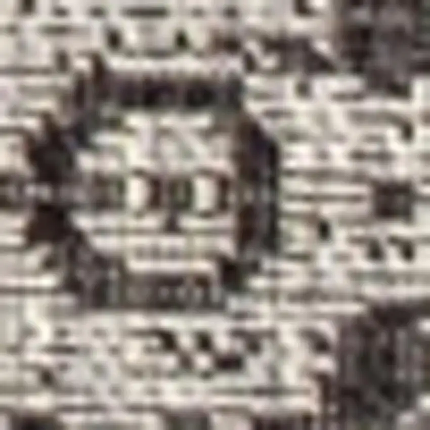 Black And Gray Medallion Indoor Outdoor Area Rug Photo 2