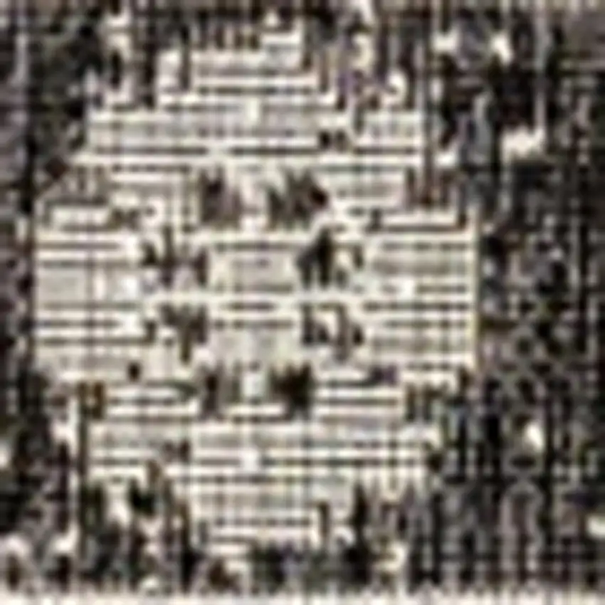 Black And Gray Medallion Indoor Outdoor Area Rug Photo 2