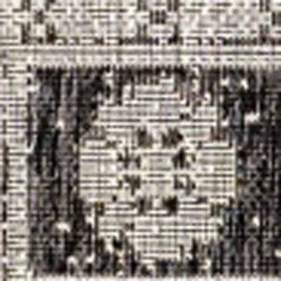 Black And Gray Medallion Indoor Outdoor Area Rug Photo 3