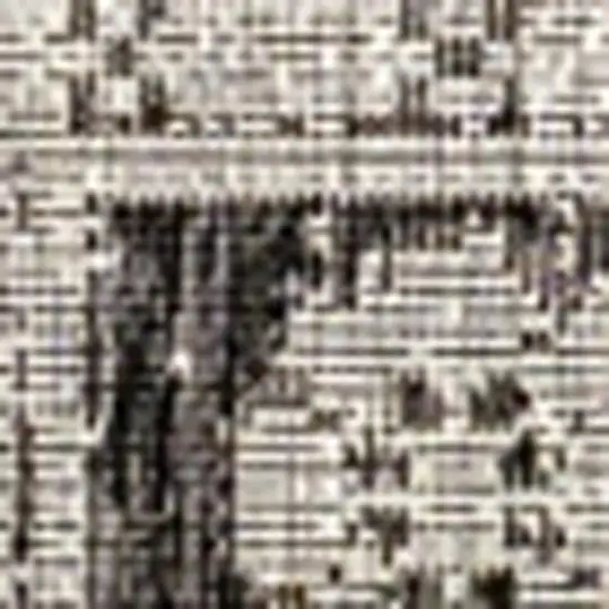 Black And Gray Medallion Indoor Outdoor Area Rug Photo 2