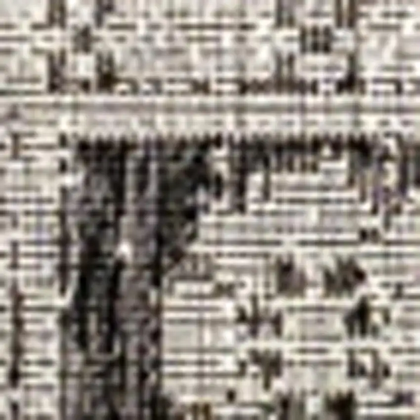 Black And Gray Medallion Indoor Outdoor Area Rug Photo 2