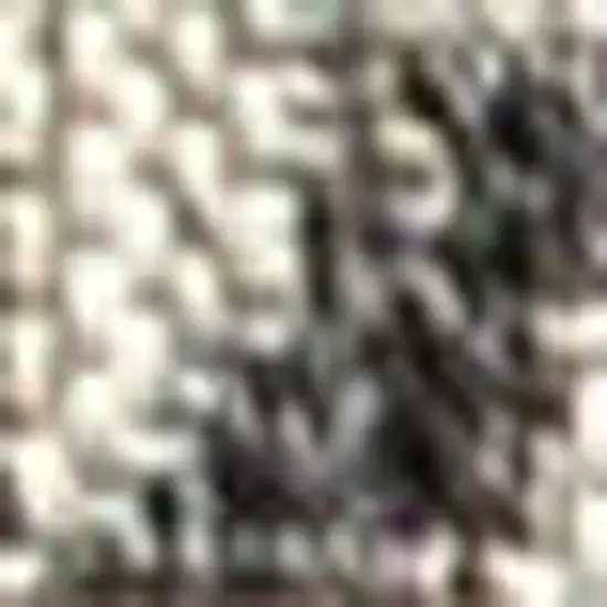 Black And Gray Medallion Indoor Outdoor Area Rug Photo 2