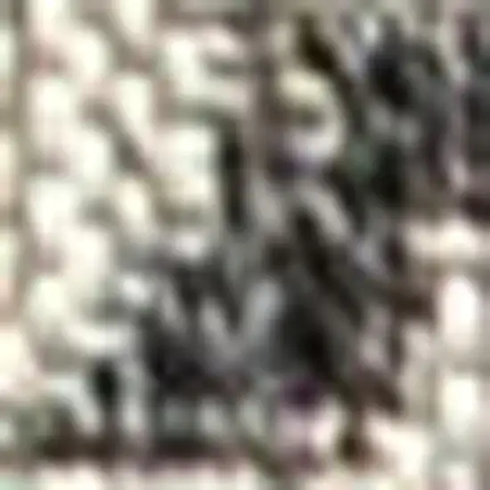 Black And Gray Medallion Indoor Outdoor Area Rug Photo 2