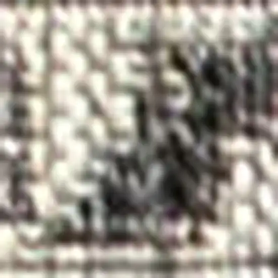 Black And Gray Medallion Indoor Outdoor Area Rug Photo 3