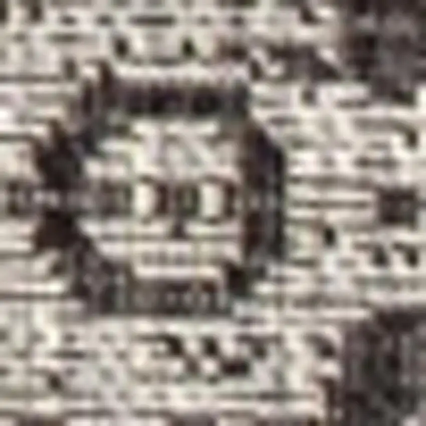 Black And Gray Medallion Indoor Outdoor Area Rug Photo 2