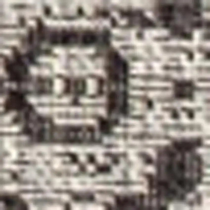 Black And Gray Medallion Indoor Outdoor Area Rug Photo 2