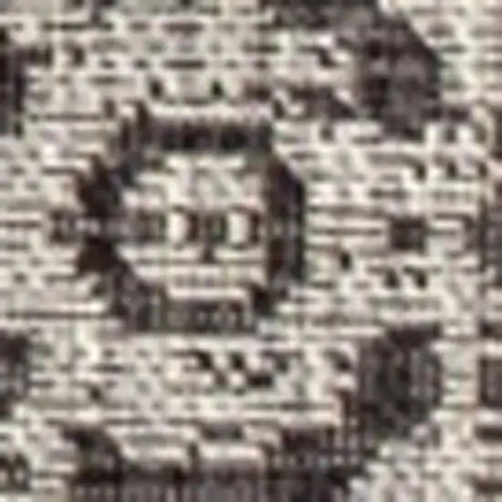 Black And Gray Medallion Indoor Outdoor Area Rug Photo 3