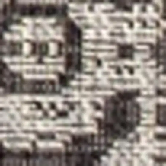 Black And Gray Medallion Indoor Outdoor Area Rug Photo 2