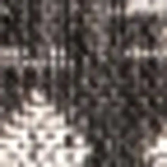 Black And Gray Trellis Indoor Outdoor Area Rug Photo 2