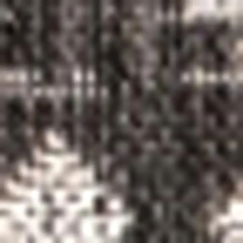 Black And Gray Trellis Indoor Outdoor Area Rug Photo 2