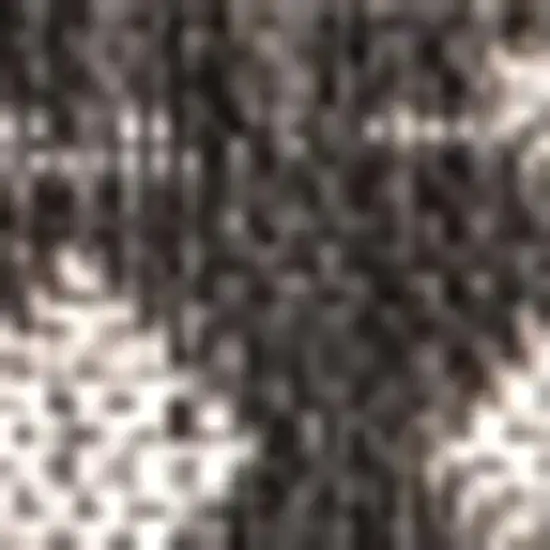 Black And Gray Trellis Indoor Outdoor Area Rug Photo 2