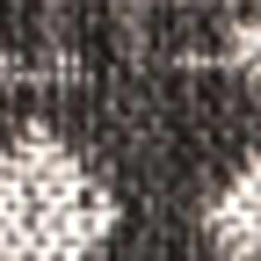 Black And Gray Trellis Indoor Outdoor Area Rug Photo 2