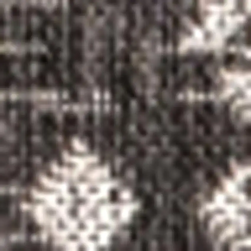 Black And Gray Trellis Indoor Outdoor Area Rug Photo 3