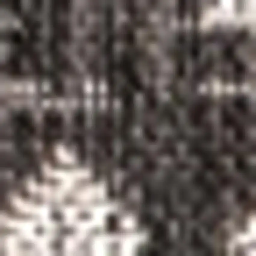 Black And Gray Trellis Indoor Outdoor Area Rug Photo 2