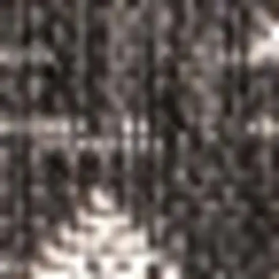 Black And Gray Trellis Indoor Outdoor Area Rug Photo 2