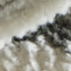 Photo of Black And Ivory Abstract Area Rug