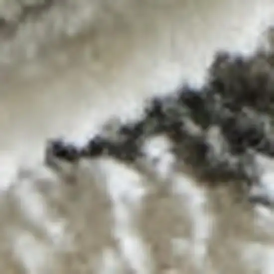 Black And Ivory Abstract Area Rug Photo 2