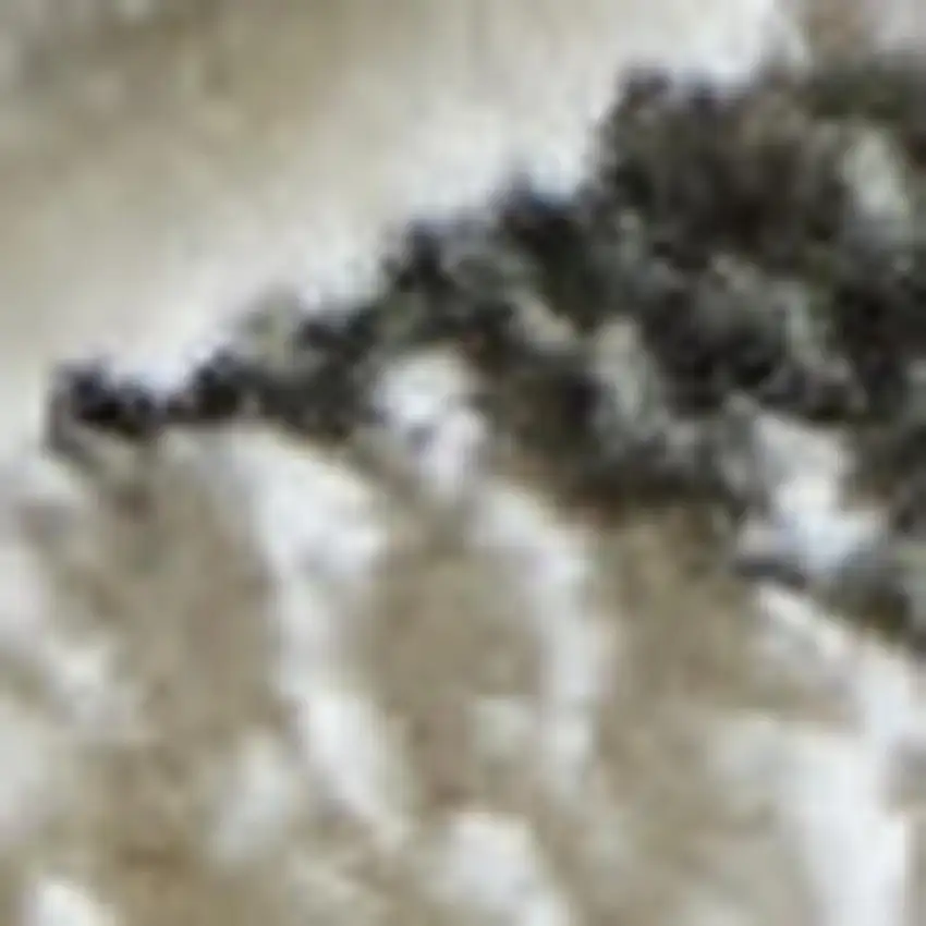 Black And Ivory Abstract Area Rug Photo 2