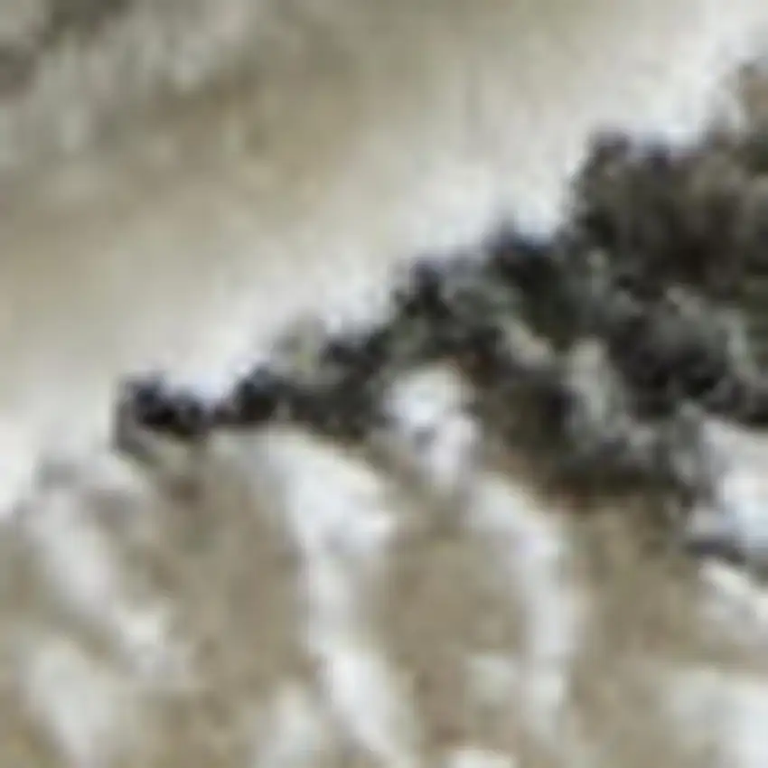 Black And Ivory Abstract Area Rug Photo 2