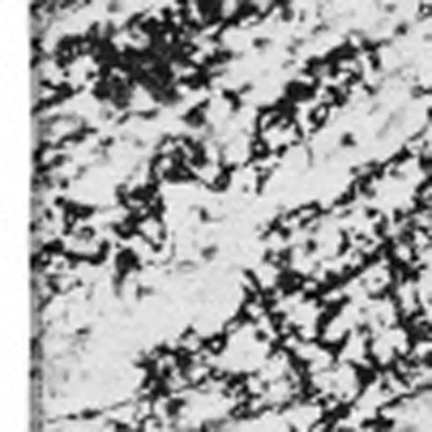 Black And Ivory Abstract Washable Area Rug With UV Protection Photo 3