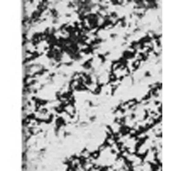 Black And Ivory Abstract Washable Area Rug With UV Protection Photo 8