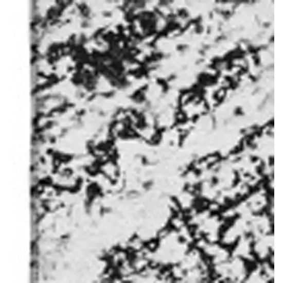 Black And Ivory Abstract Washable Area Rug With UV Protection Photo 3