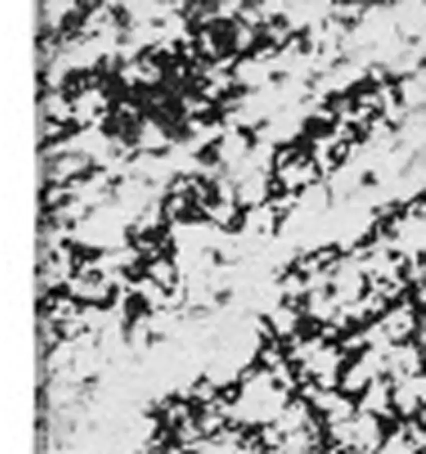 Black And Ivory Abstract Washable Area Rug With UV Protection Photo 3