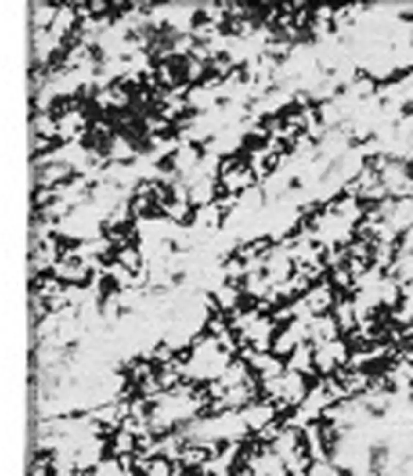 Black And Ivory Abstract Washable Area Rug With UV Protection Photo 9