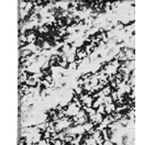 Black And Ivory Abstract Washable Area Rug With UV Protection Photo 9