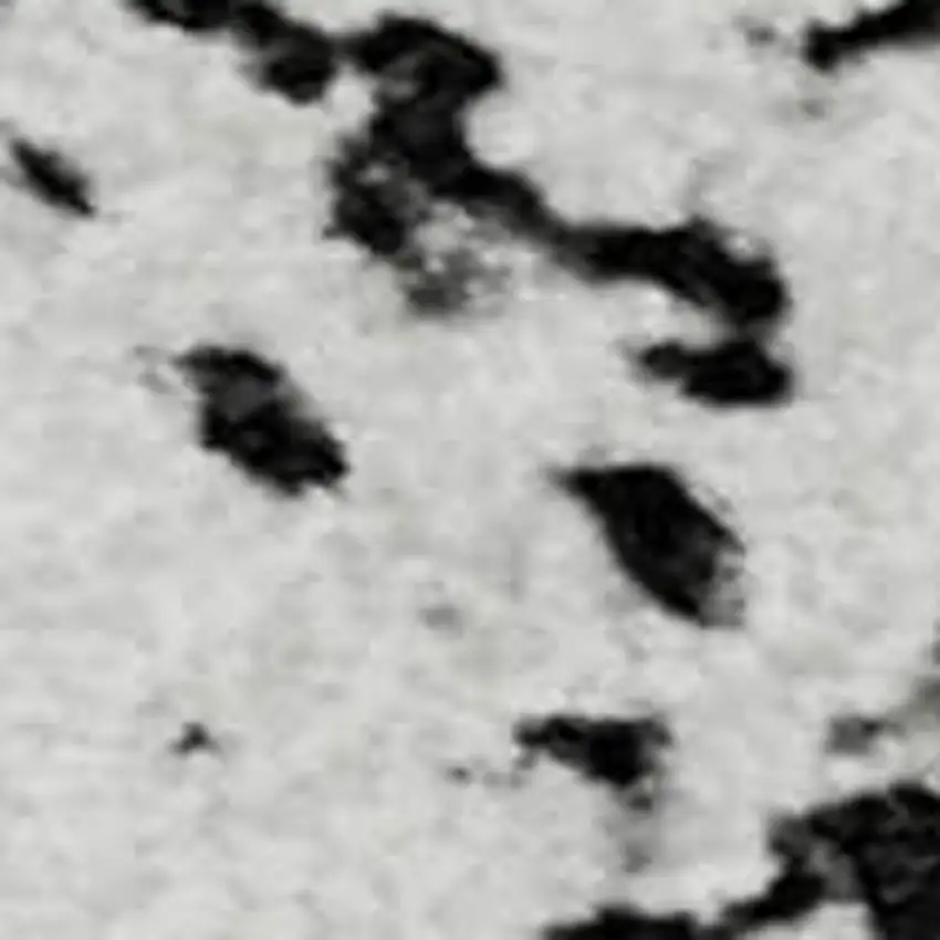 Black And Ivory Abstract Washable Area Rug With UV Protection Photo 4