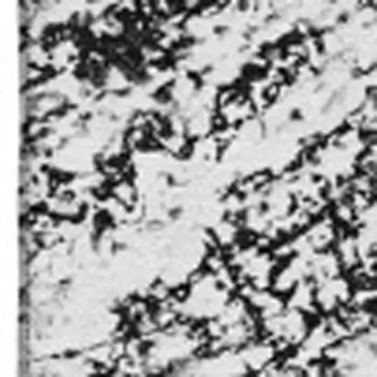 Black And Ivory Abstract Washable Area Rug With UV Protection Photo 3