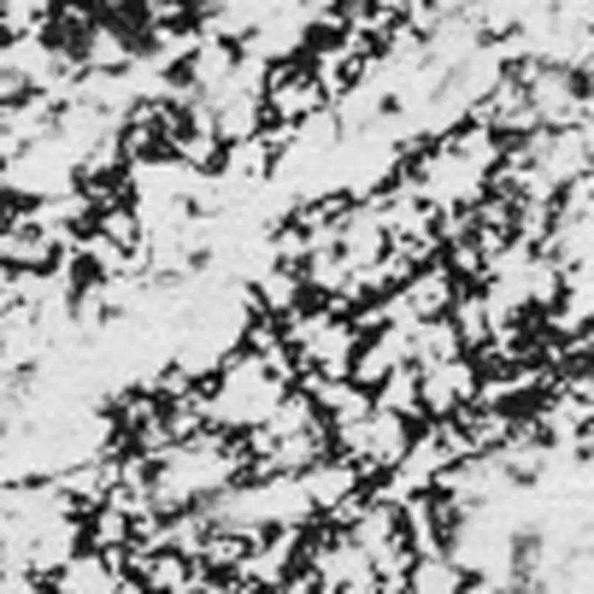 Black And Ivory Abstract Washable Area Rug With UV Protection Photo 9