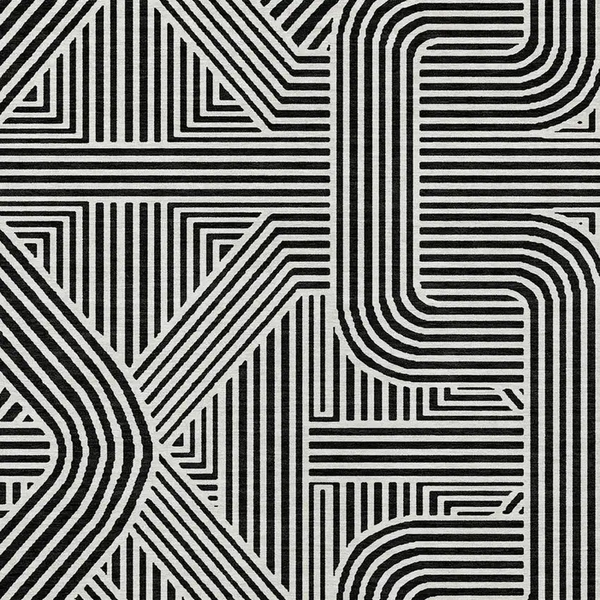 Black And Ivory Abstract Washable Indoor Outdoor Area Rug Photo 6