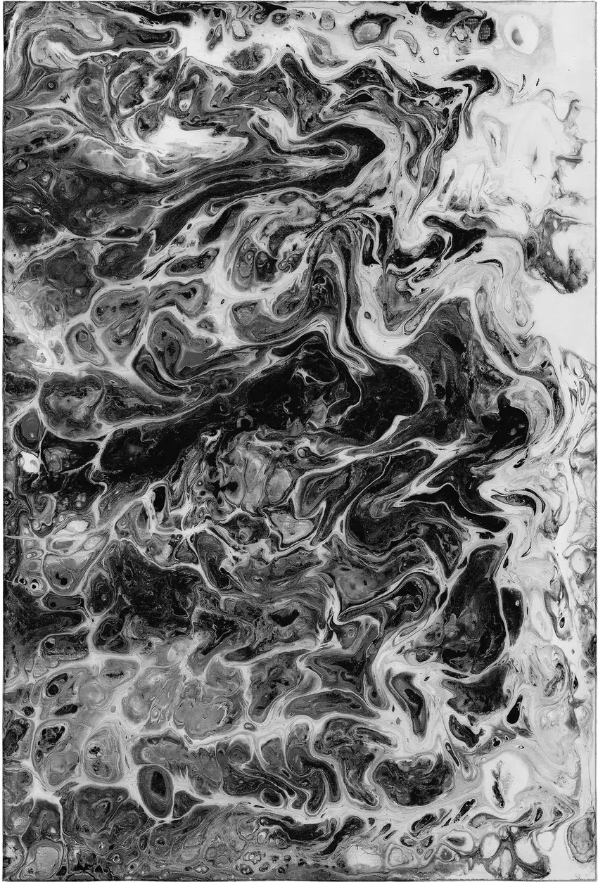 Black And Ivory Abstract Washable Indoor Outdoor Area Rug Photo 2