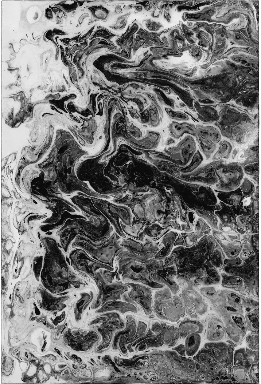 Black And Ivory Abstract Washable Indoor Outdoor Area Rug Photo 4