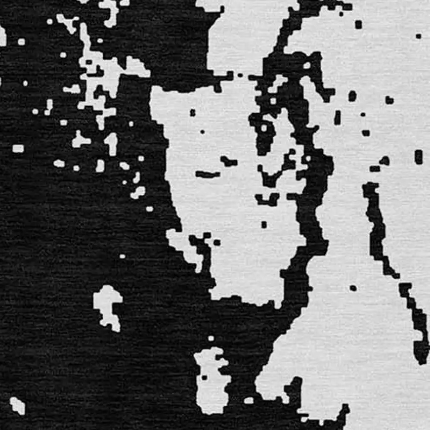 Black And Ivory Abstract Washable Indoor Outdoor Area Rug Photo 7