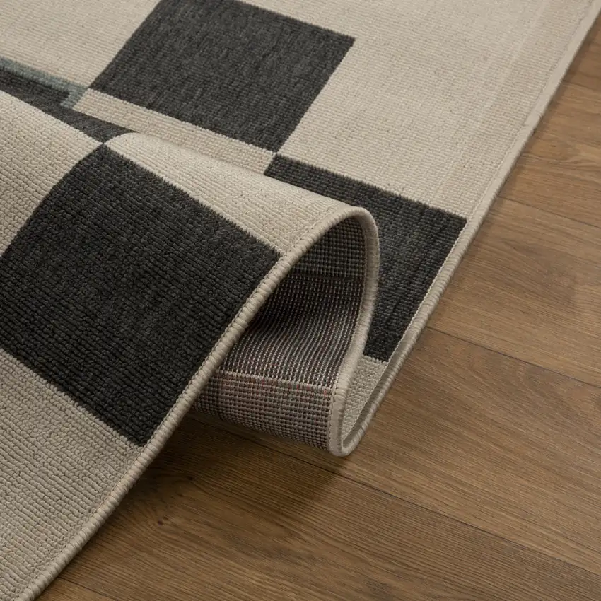 Black And Ivory Checkered Area Rug Photo 8