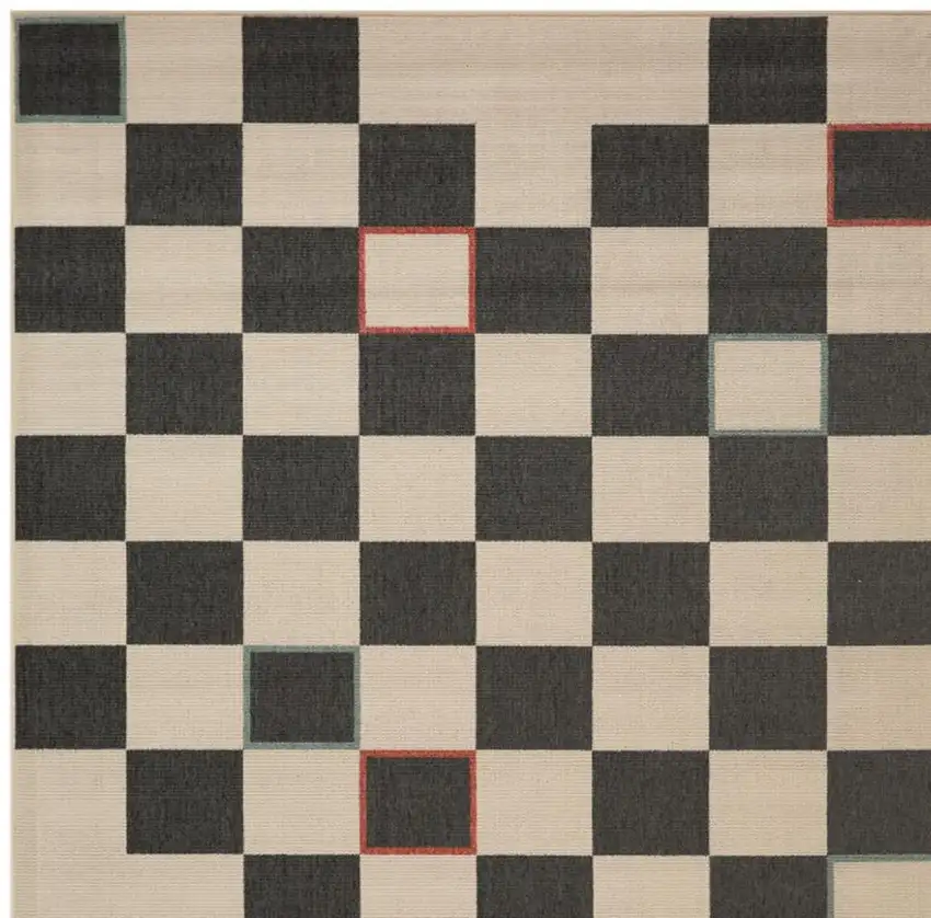 Black And Ivory Checkered Area Rug Photo 5