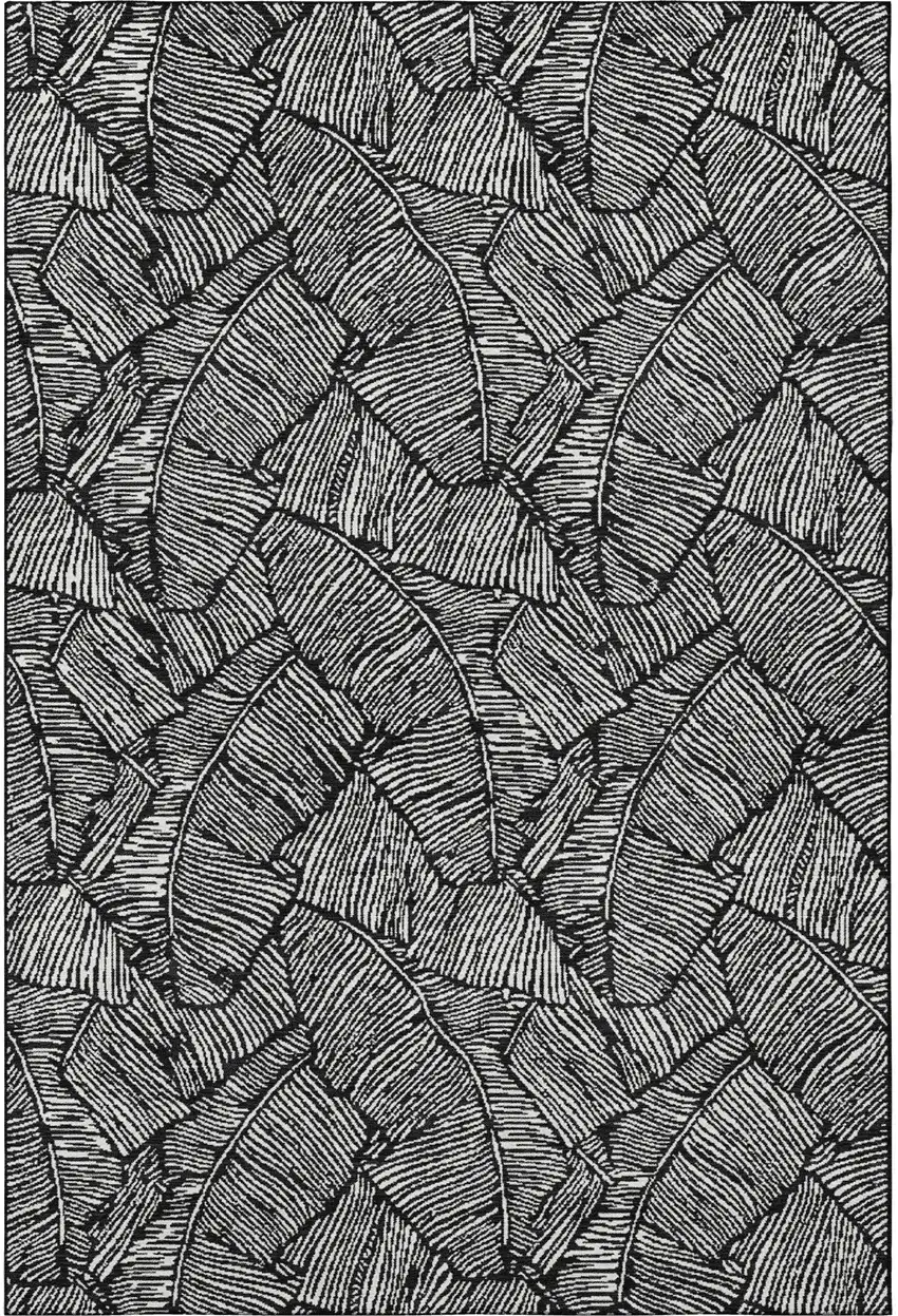 Black And Ivory Floral Washable Area Rug With UV Protection Photo 3