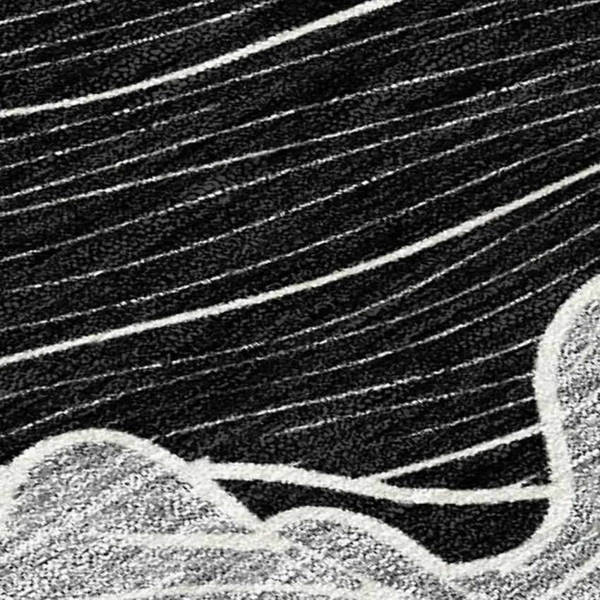 Black And Ivory Floral Washable Indoor Outdoor Area Rug Photo 3