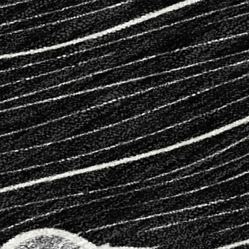 Black And Ivory Floral Washable Indoor Outdoor Area Rug Photo 1