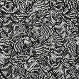 Photo of Black And Ivory Floral Washable Indoor Outdoor Area Rug