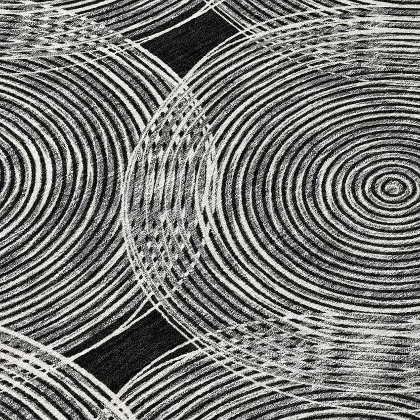 Black And Ivory Geometric Washable Indoor Outdoor Area Rug Photo 6