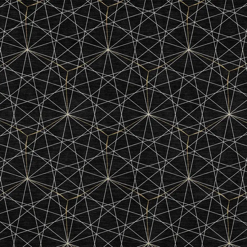 Black And Ivory Geometric Washable Indoor Outdoor Area Rug Photo 5