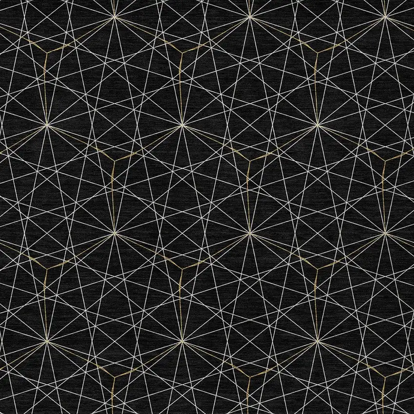 Black And Ivory Geometric Washable Indoor Outdoor Area Rug Photo 5