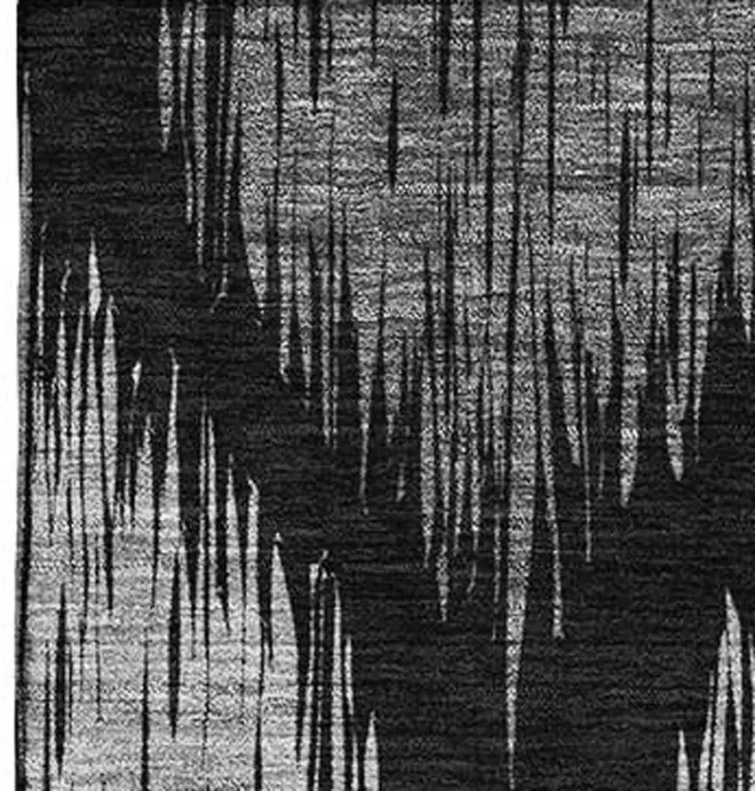 Black And Ivory Ikat Washable Area Rug With UV Protection Photo 4