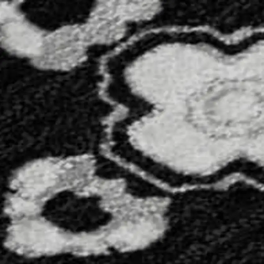 Black And Ivory Medallion Washable Area Rug With UV Protection Photo 3